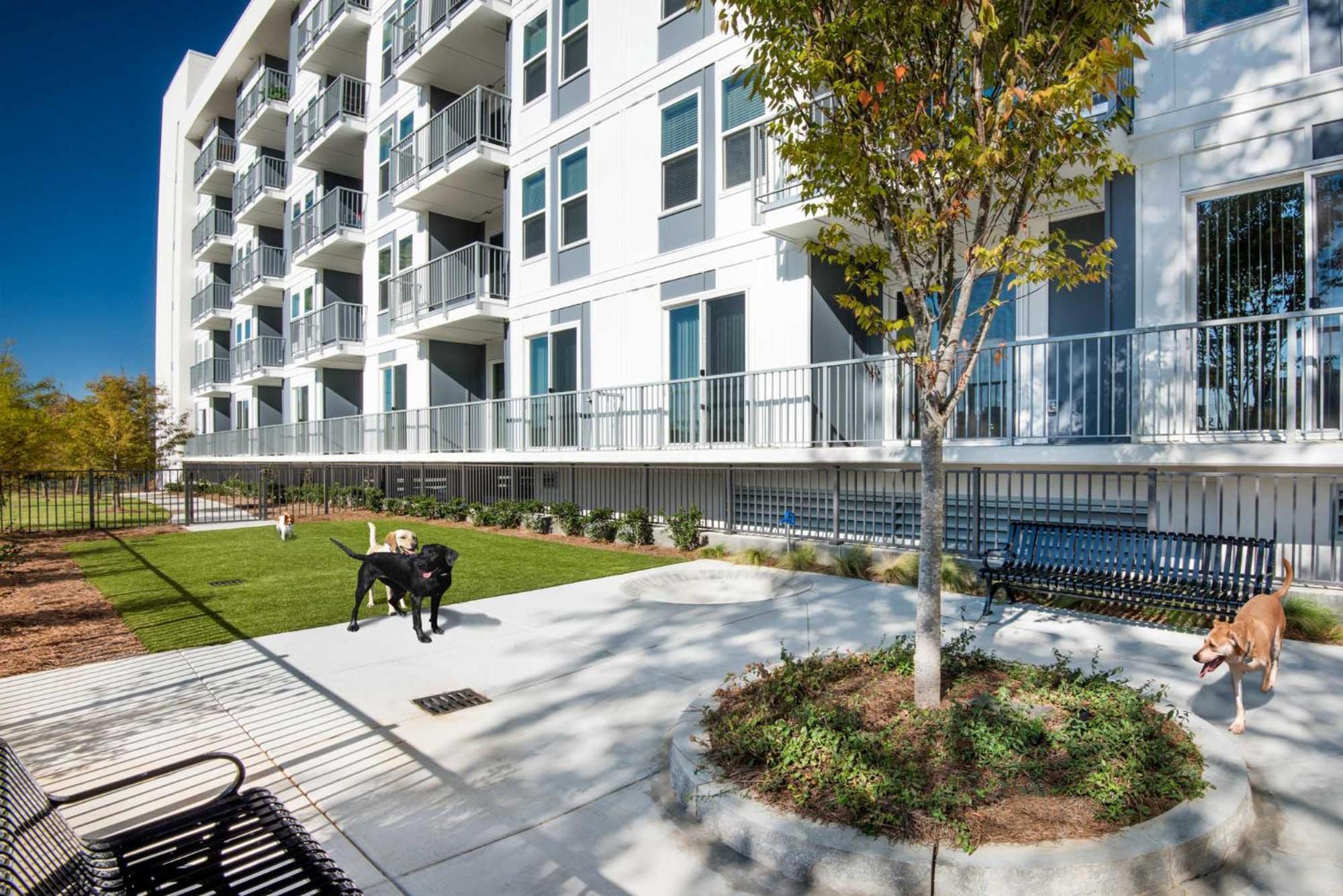 Spectacular Apartments By Bca Furnished Apartments Atlanta Ruang foto